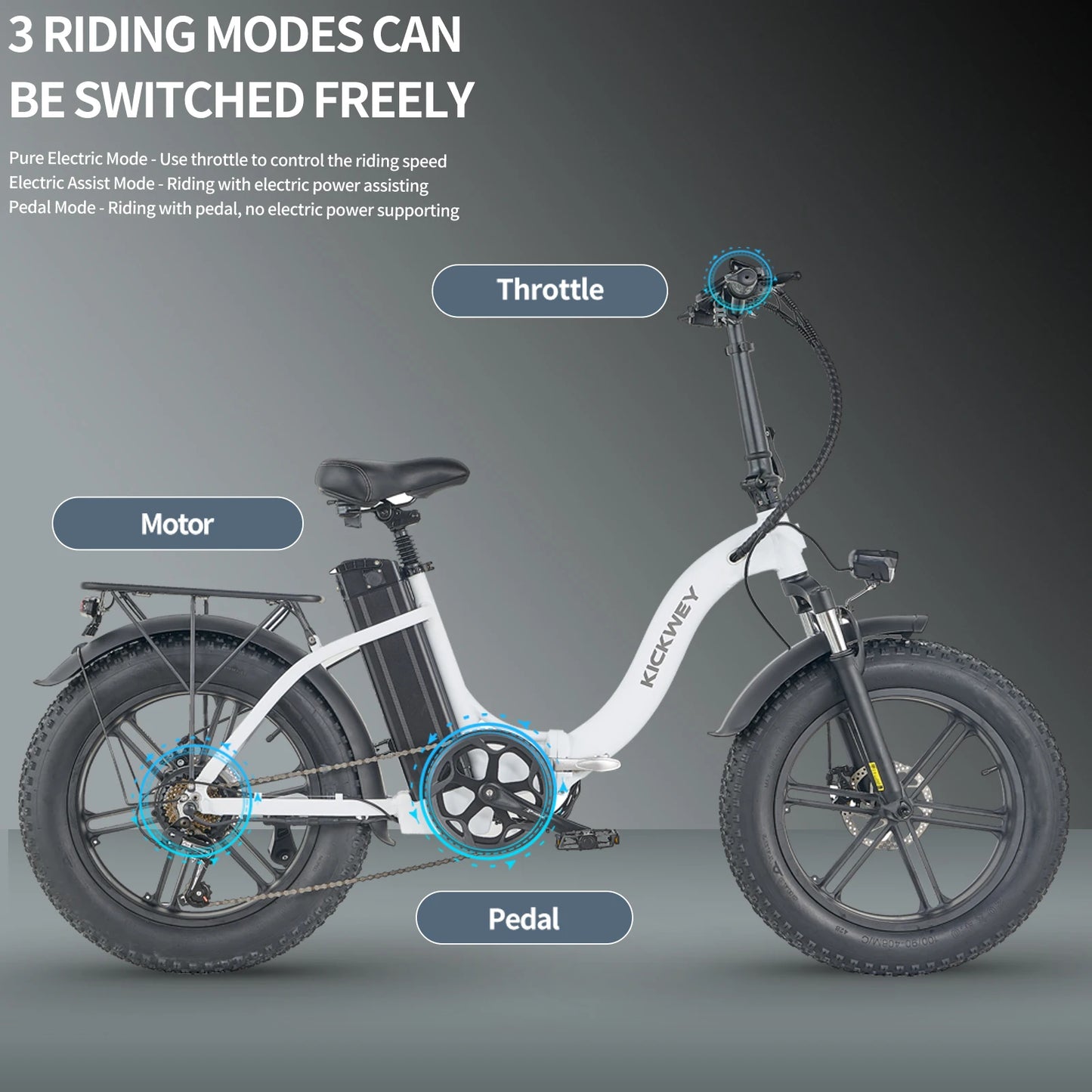 Ljustra Kickwey L20 Foldable Electric Bicycle 1000W 20 Inch Fat Tire E-Bike