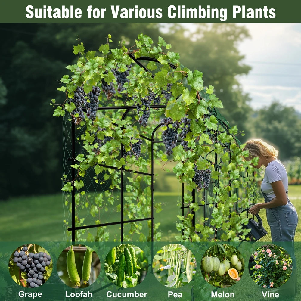 U-Shaped Metal Garden Trellis Support Frame for Climbing Plants