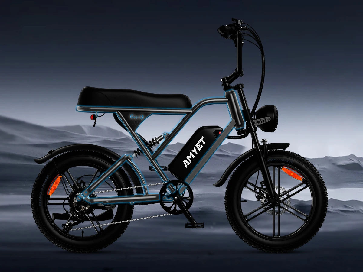 Ljustra V9-G60 1000W Electric Bike Adults 20 Inch Tires Mountain Ebike