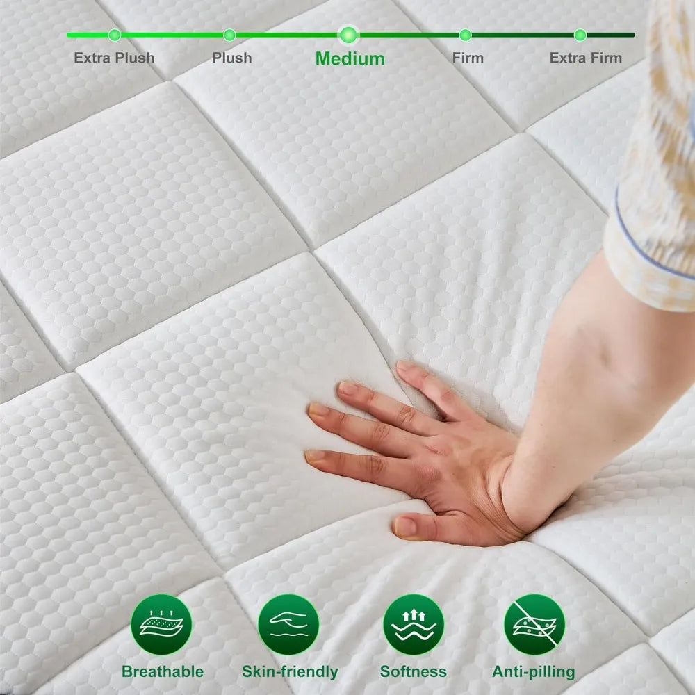 Ljustra Queen 12 Inch Hybrid Mattress Memory Foam Pocket Spring Support