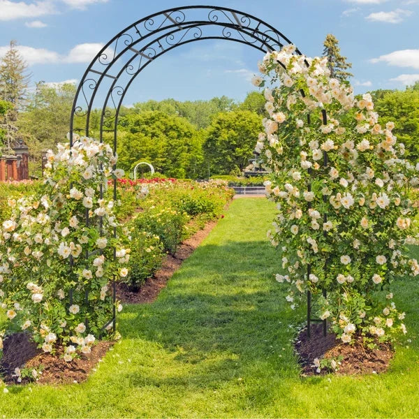 Double Layer Iron Art Arch Garden Trellis Pergola for Climbing Plants
