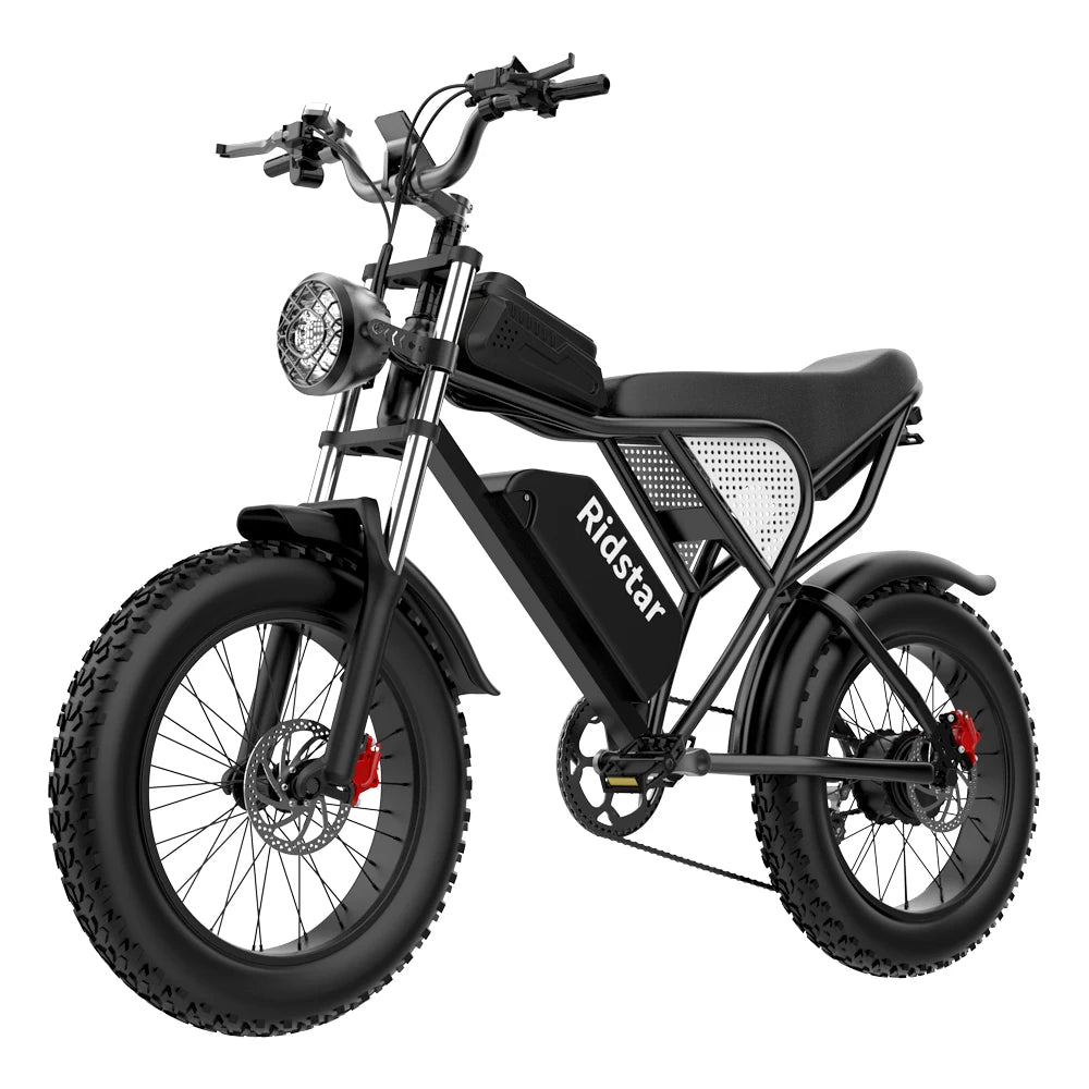 Electric Bike 1000W Motor 48V 15AH Battery All-terrain Fat Tire E-Bike