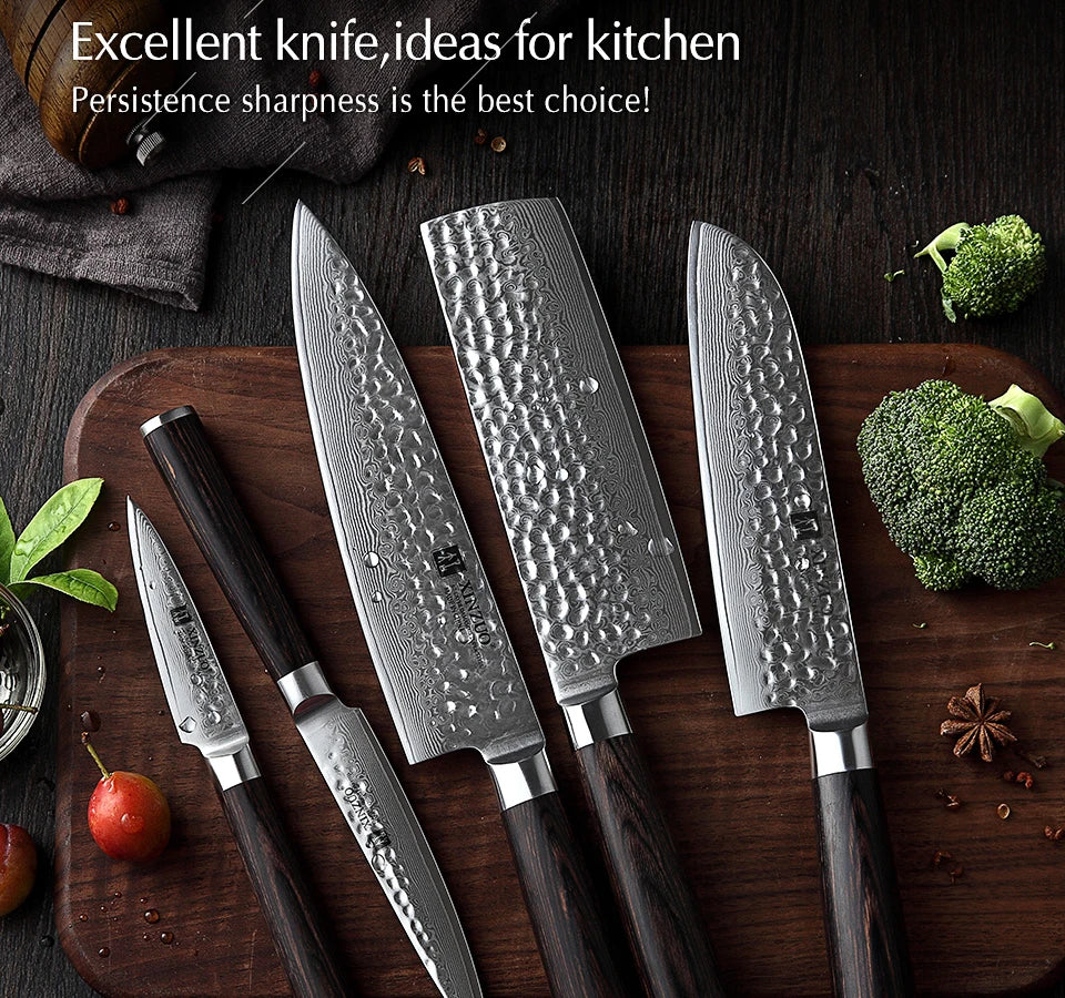 Ljustra 5PC Kitchen Knives Set VG10 Damascus Steel Pakkawood Handle