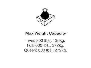 Ljustra 22in Queen Comfort Plush High-Rise Inflatable Air Mattress