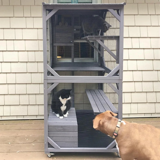 Cat House Mobile Catio Outdoor Enclosure on Wheels with Waterproof Roof