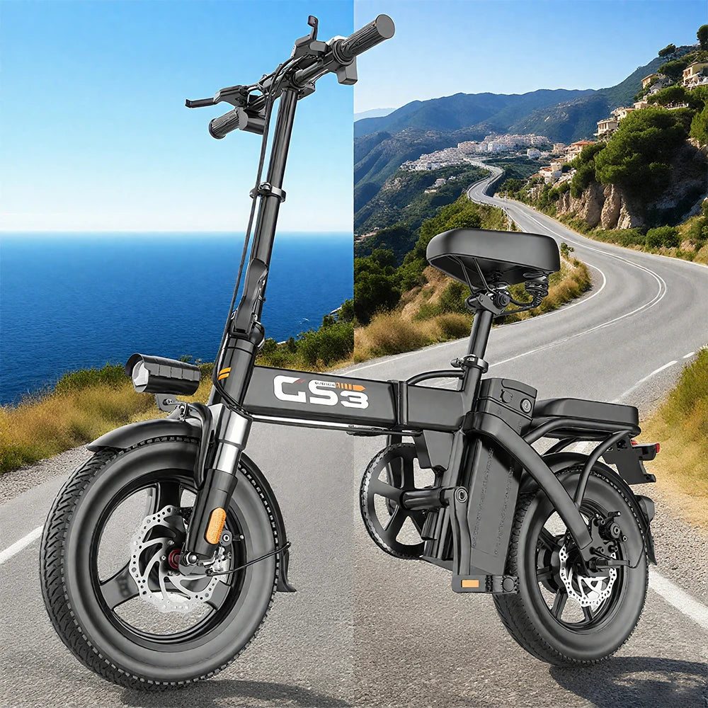 Ljustra TOOFly GS3 Folding Electric Bicycle 250W Motor Commuter Ebike