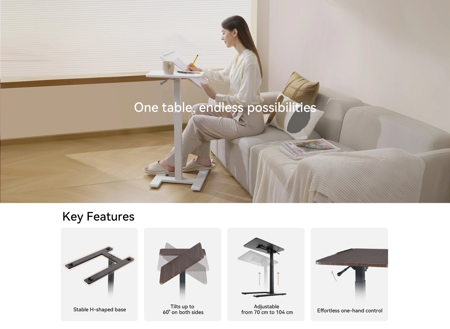 Ljustra 2-Piece Adjustable Standing Desk Ergonomic Office Workstation