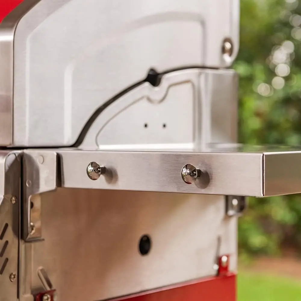 Deluxe 2-Burner Propane Gas Grill with Warming Rack 28000 BTUs