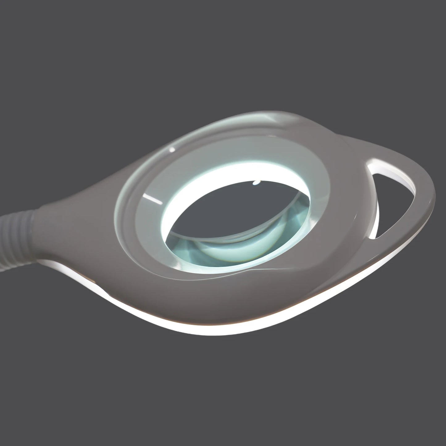 16X Magnifying Lamp Adjustable Brightness Height Storage Tray Salon Tool