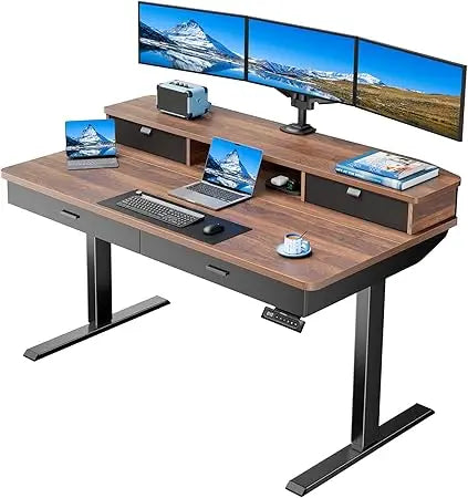 Electric Standing Desk 55x30 Inch with Drawers Adjustable Height Home Office