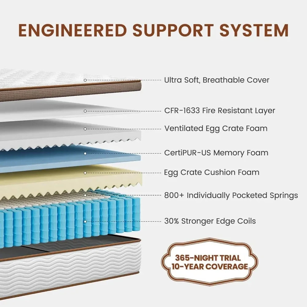 Ljustra Premium Queen Mattress 14 Inch Hybrid Pain Relief Motion Isolation