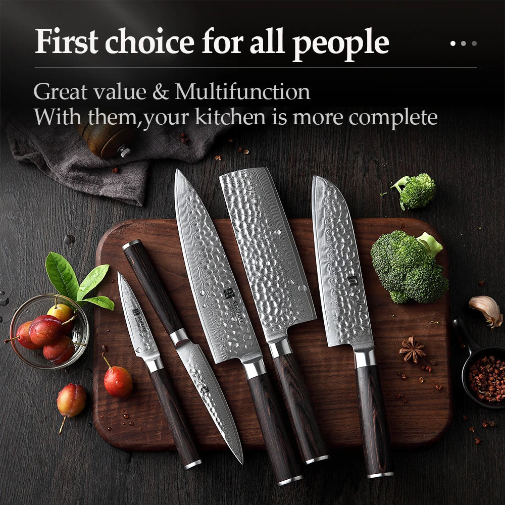 Ljustra 5PC Kitchen Knives Set VG10 Damascus Steel Pakkawood Handle