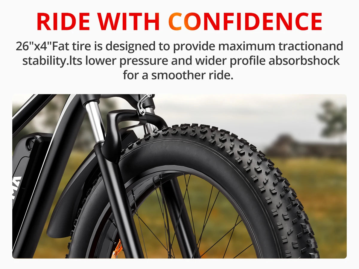 Ljustra AMYET EB26 Electric Bike 1000W 48V Fat Tire Mountain Ebike