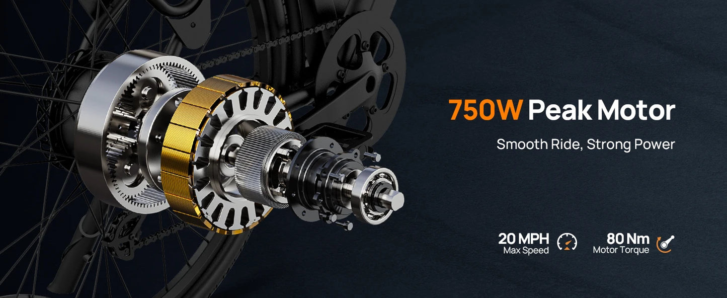 Peak 750W Electric Bike Adults 48V 10.4Ah Removable Battery 20MPH