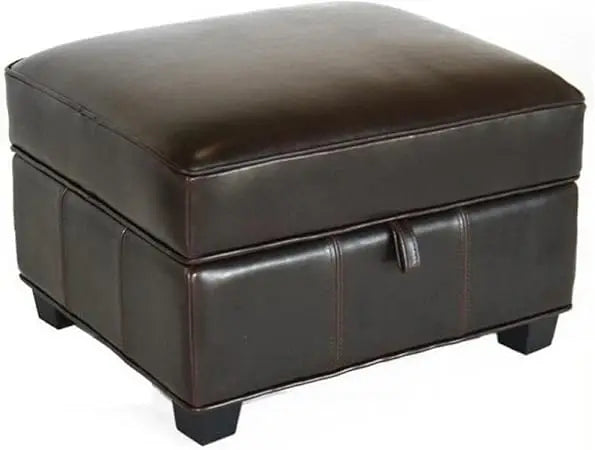 Leather Storage Ottoman Lift-Top Dark Brown Furniture Home Decor