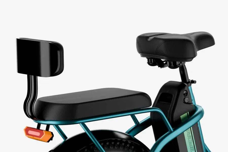 Ljustra Luckeep C23 20in Folding Electric Bike 1200W 65 Mile Range