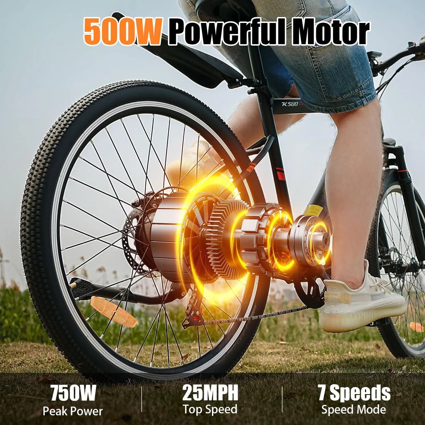 Electric Mountain Bike 750W Motor Removable Battery 25MPH Adult Ebike