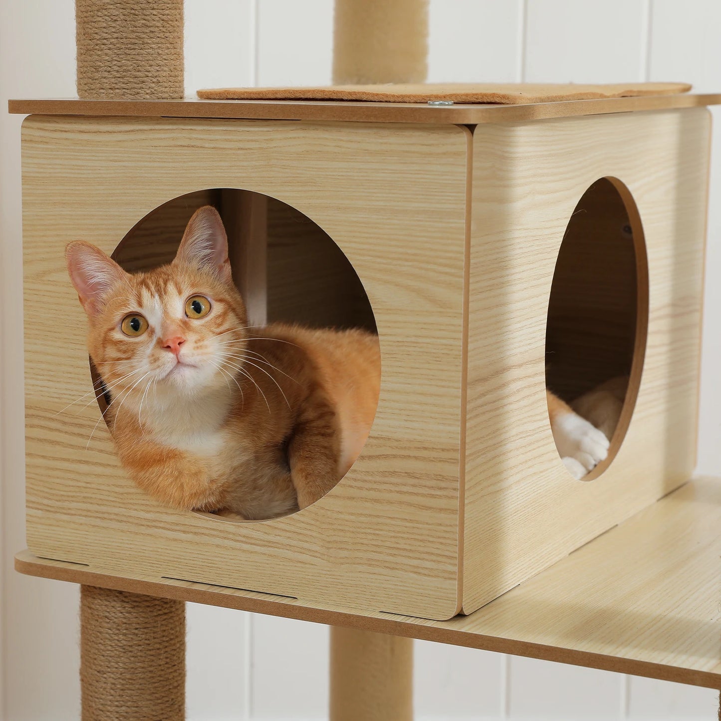Multi-Level Cat Tree Indoor Wood Tower with Hammock Scratching Posts