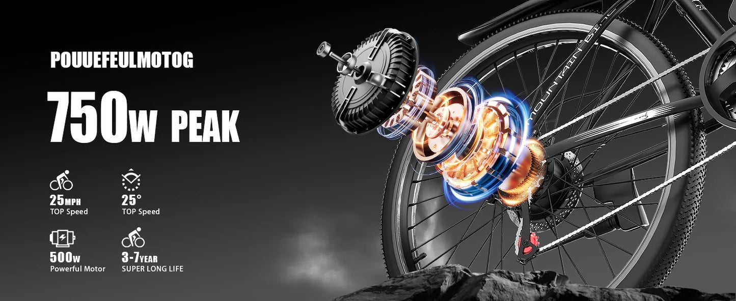 Electric Mountain Bike 750W Motor Removable Battery 25MPH Adult Ebike