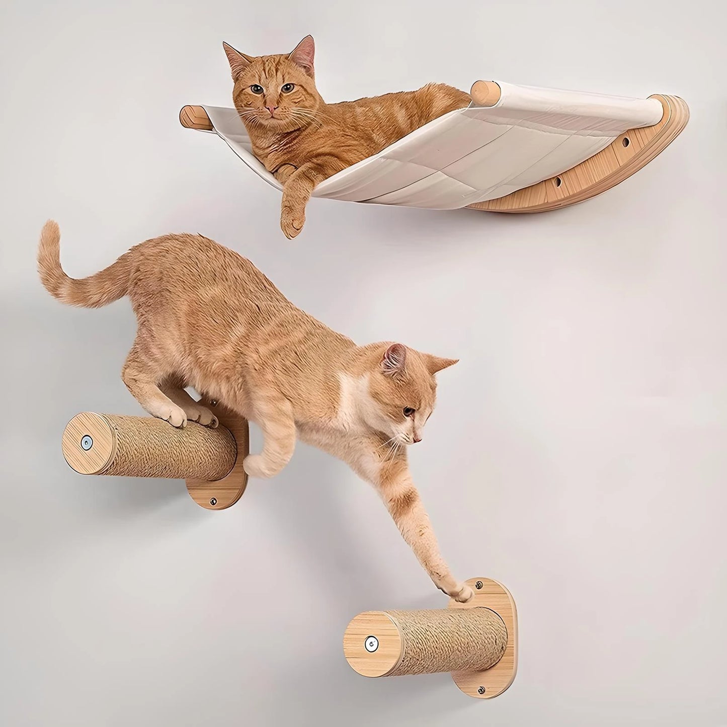 Cat Hammock Wall Mounted Shelf with Steps for Climbing and Lounging