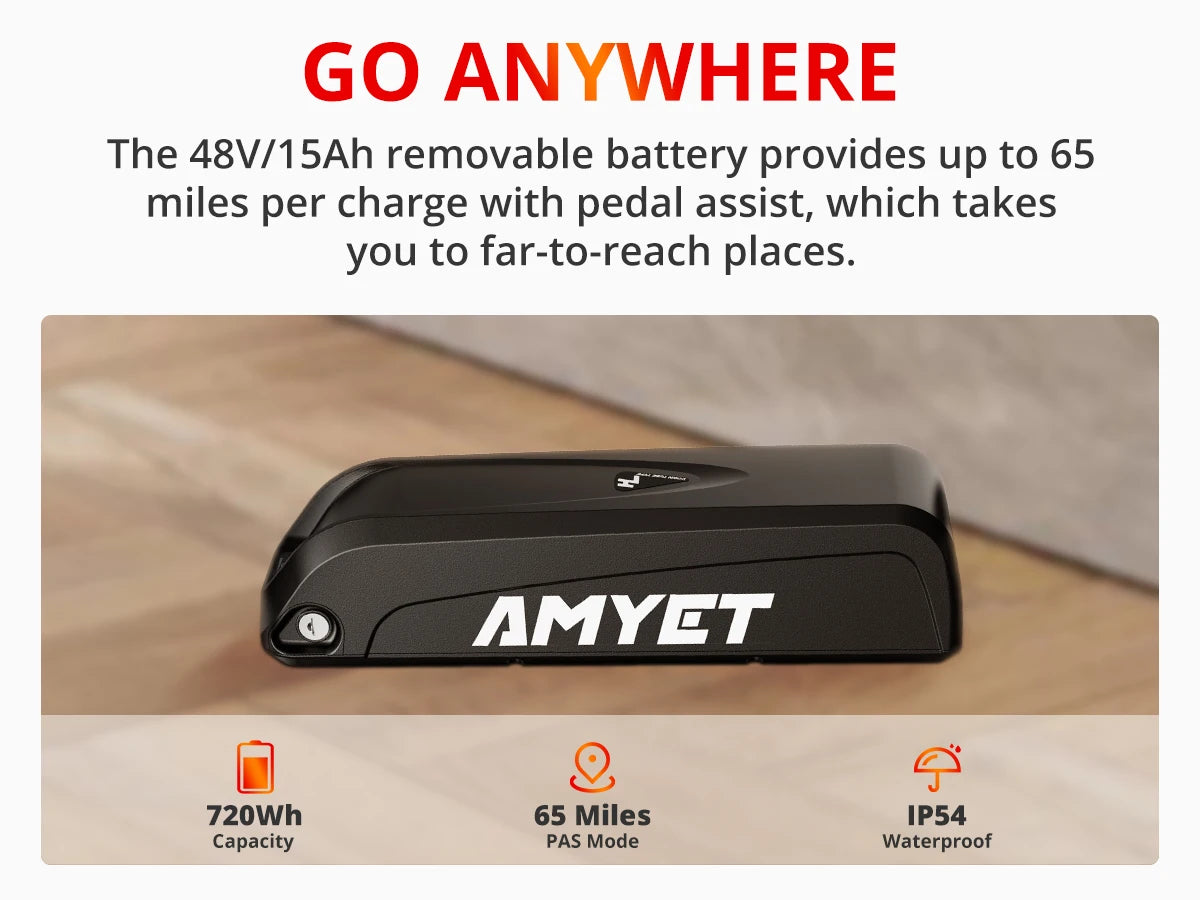 Ljustra AMYET EB26 Electric Bike 1000W 48V Fat Tire Mountain Ebike