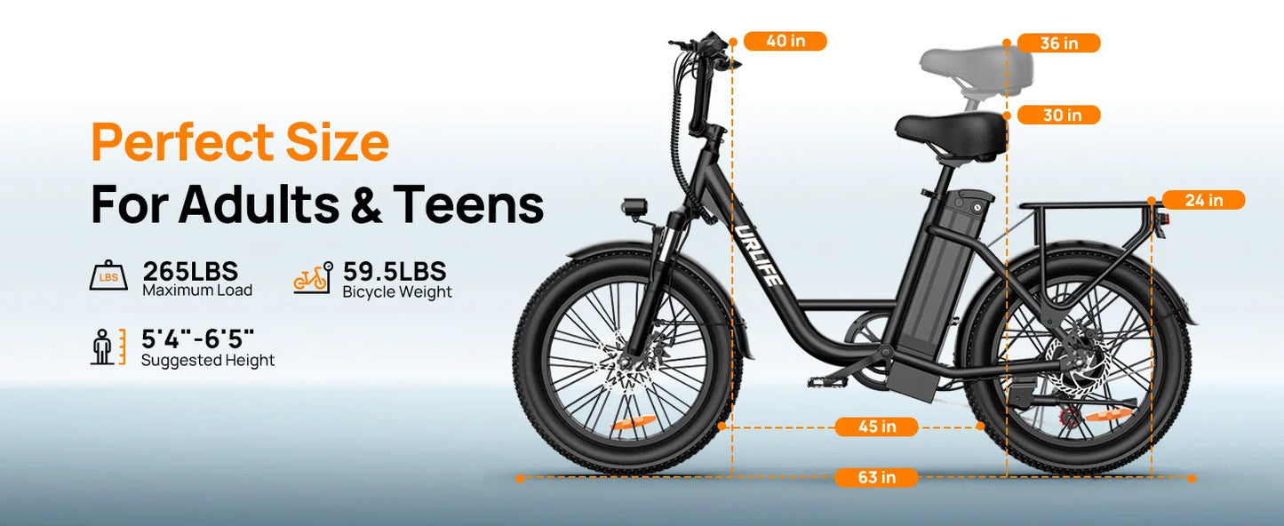 1000W E20 Electric Bike 20MPH 48V 13Ah Fat Tire 7-Speed Dual Brake