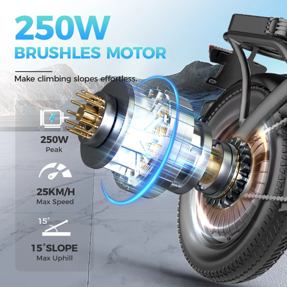 Ljustra TOOFly GS3 Folding Electric Bicycle 250W Motor Commuter Ebike