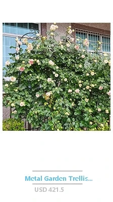 Vintage Floral Wall Mirror 40 Inch Round Fretwork Fleur-de-lis Design