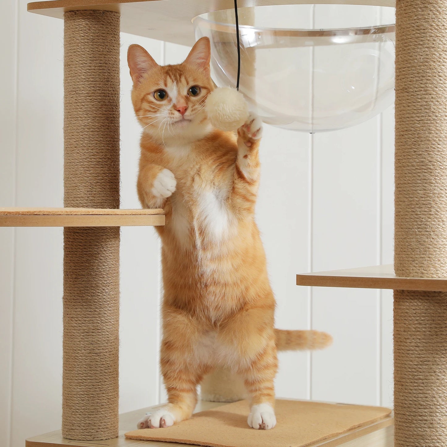 Multi-Level Cat Tree Indoor Wood Tower with Hammock Scratching Posts