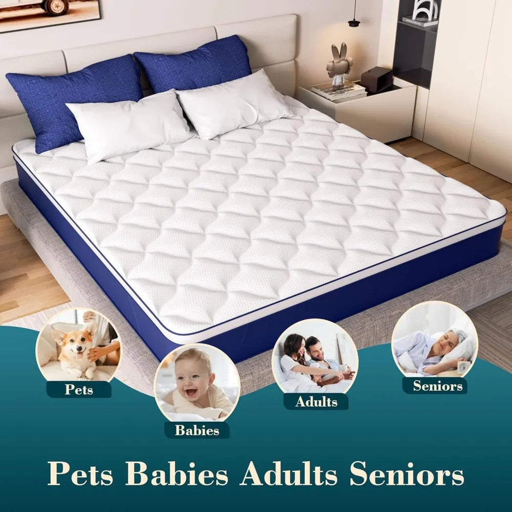 Ljustra 12 Inch Hybrid Queen Mattress Gel Memory Foam Pocket Springs