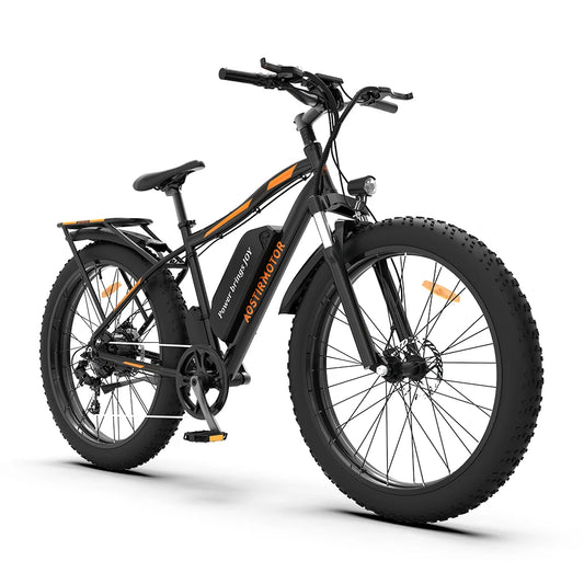 Ljustra Electric Mountain Bike 750W Motor 48V 13Ah Lithium Battery