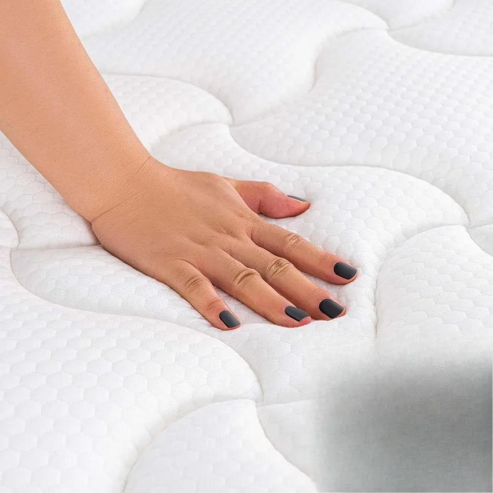 Ljustra Queen Mattress 12 Inch Pillow Top Soft Pressure Relief Foam