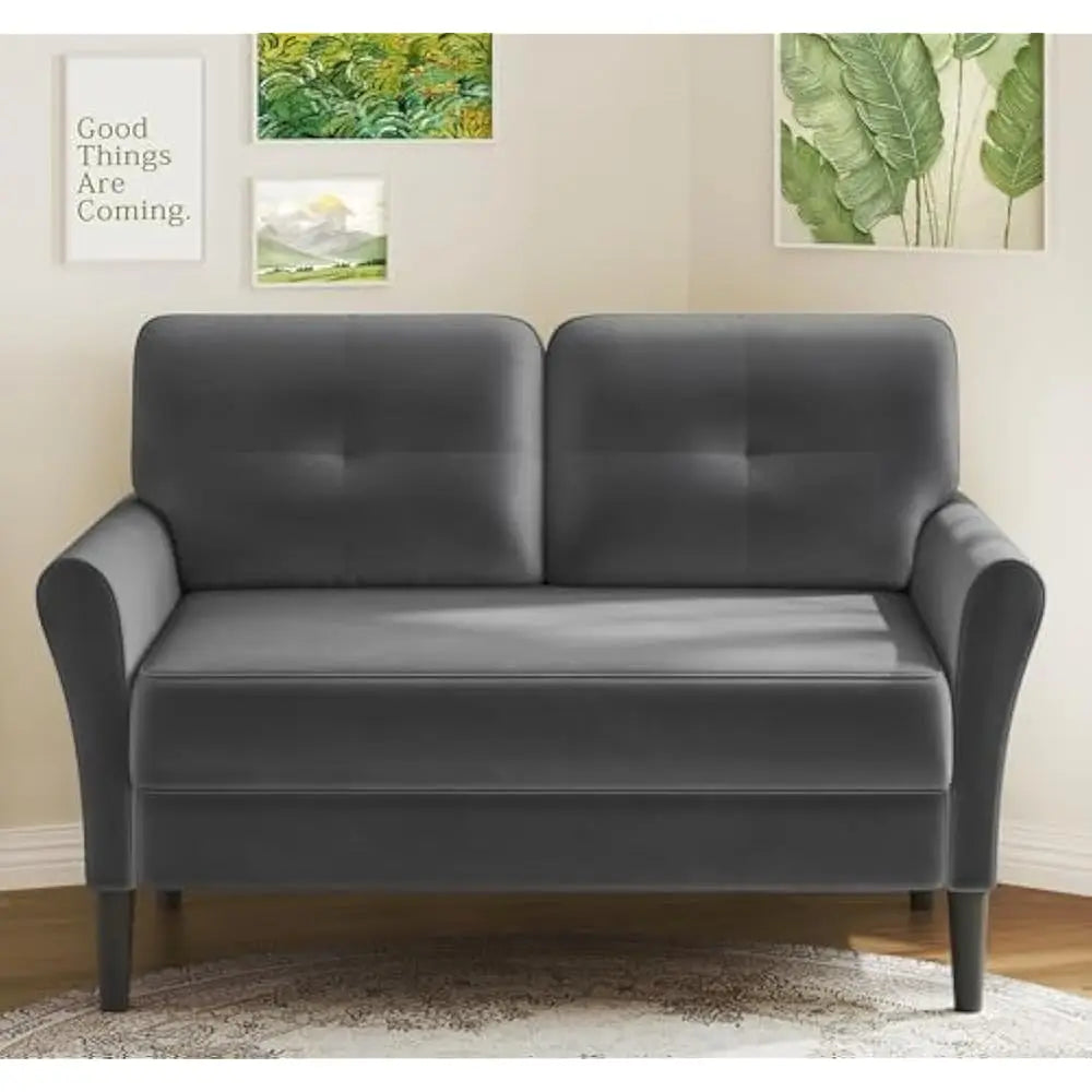 Ljustra 48 Inch Loveseat Sofa Velvet Couch Comfy for Living Room