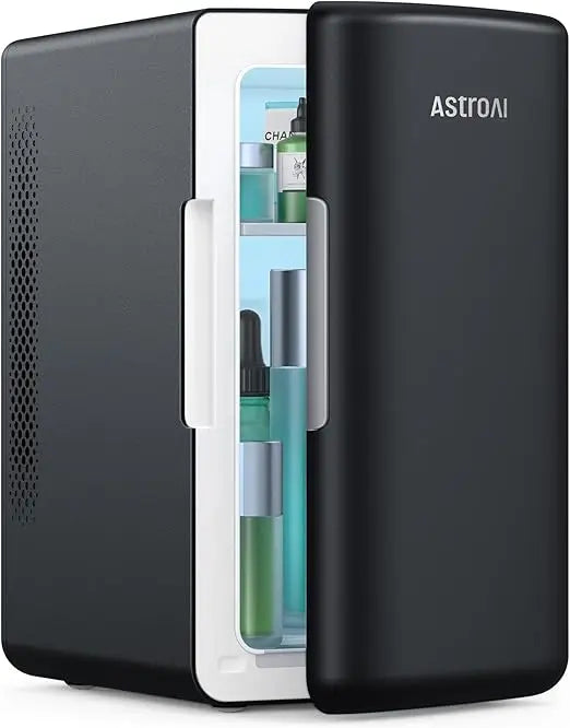 Mini Fridge 6 Liter Makeup Skincare Portable Cooler Warmer 110V 12V