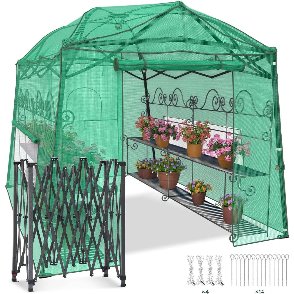 Portable 11x8.5 FT Walk-in Greenhouse Heavy Duty Adjustable Canopy