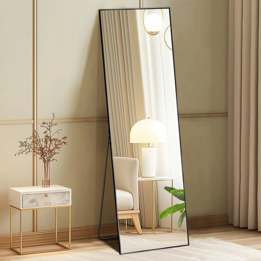 Ljustra 64x21 Full Body Wall Mirror Standing Hanging Leaning Aluminum Frame