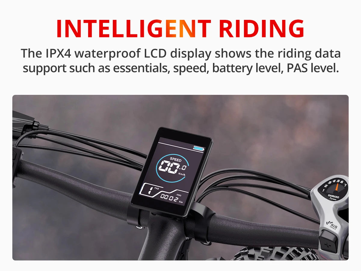 Ljustra AMYET EB26 Electric Bike 1000W 48V Fat Tire Mountain Ebike