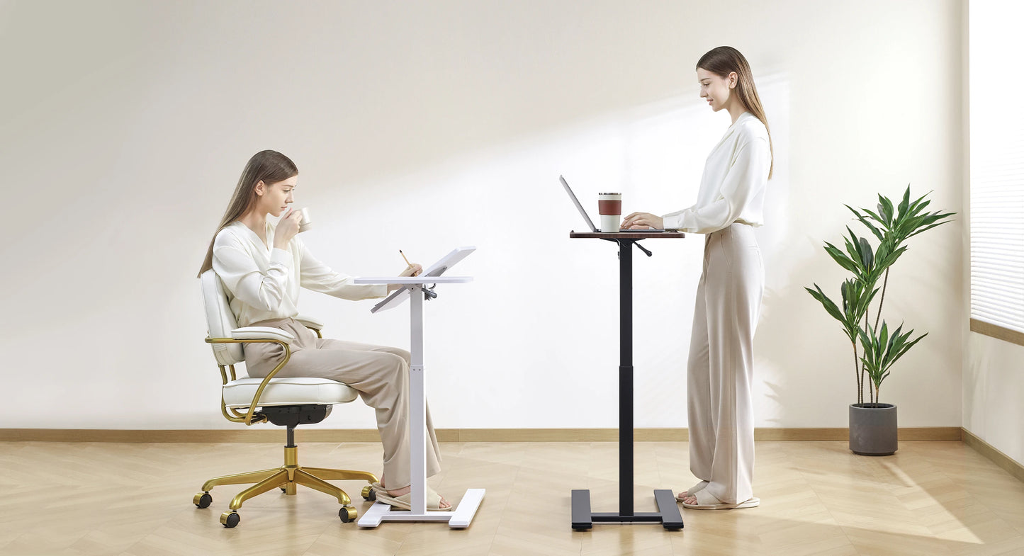 Ljustra 2-Piece Adjustable Standing Desk Ergonomic Office Workstation