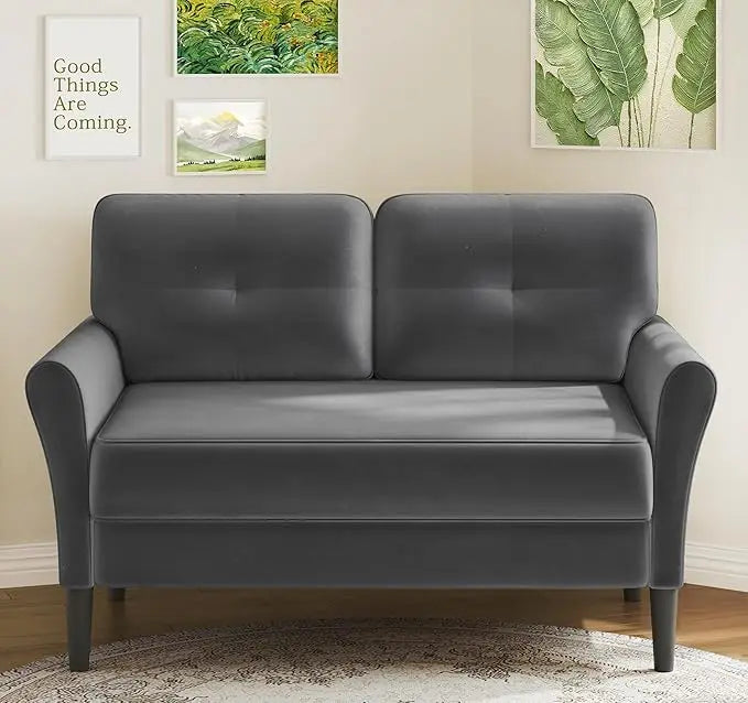 Ljustra Small Velvet Loveseat Sofa 48 Inch Comfy Couch for Bedroom