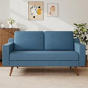 Ljustra 65.4 Inch Loveseat Sofa Modern Couch for Living Room Bedroom