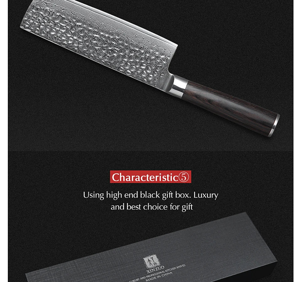 Ljustra 5PC Kitchen Knives Set VG10 Damascus Steel Pakkawood Handle