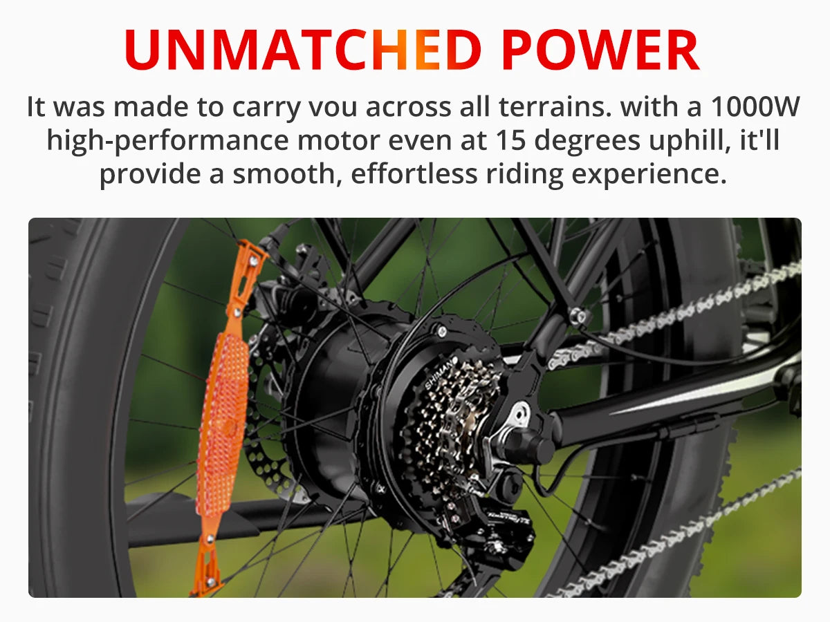 Ljustra AMYET EB26 Electric Bike 1000W 48V Fat Tire Mountain Ebike