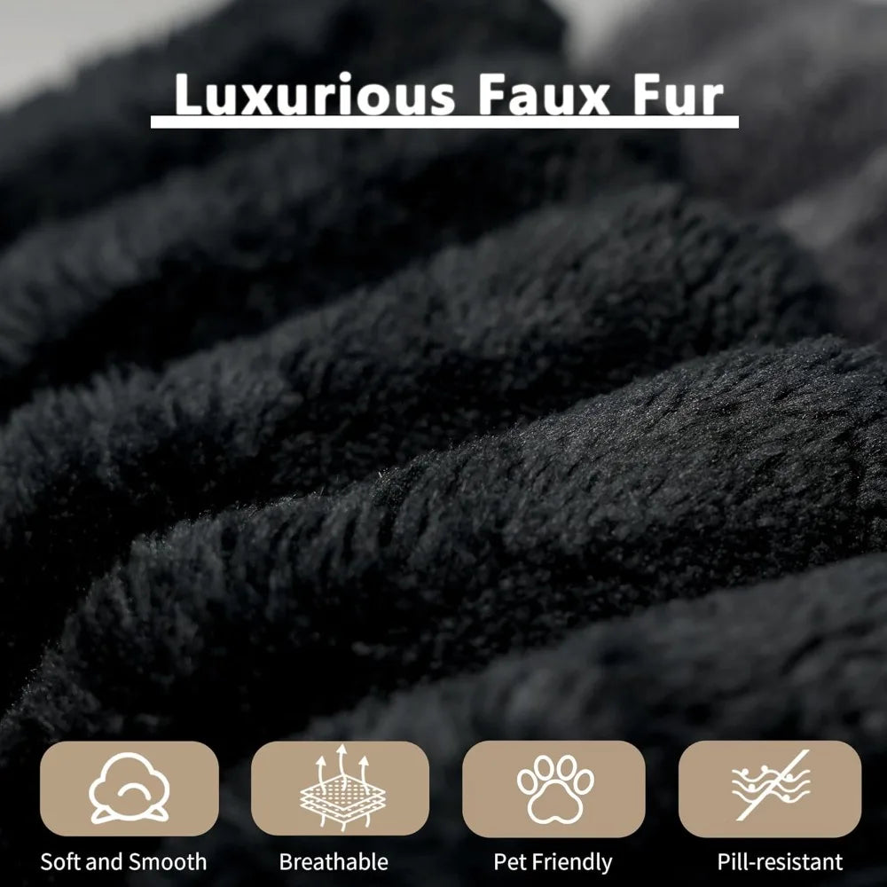 63" Modular Cloud Loveseat Sofa No Assembly Comfy Memory Foam for Small Space