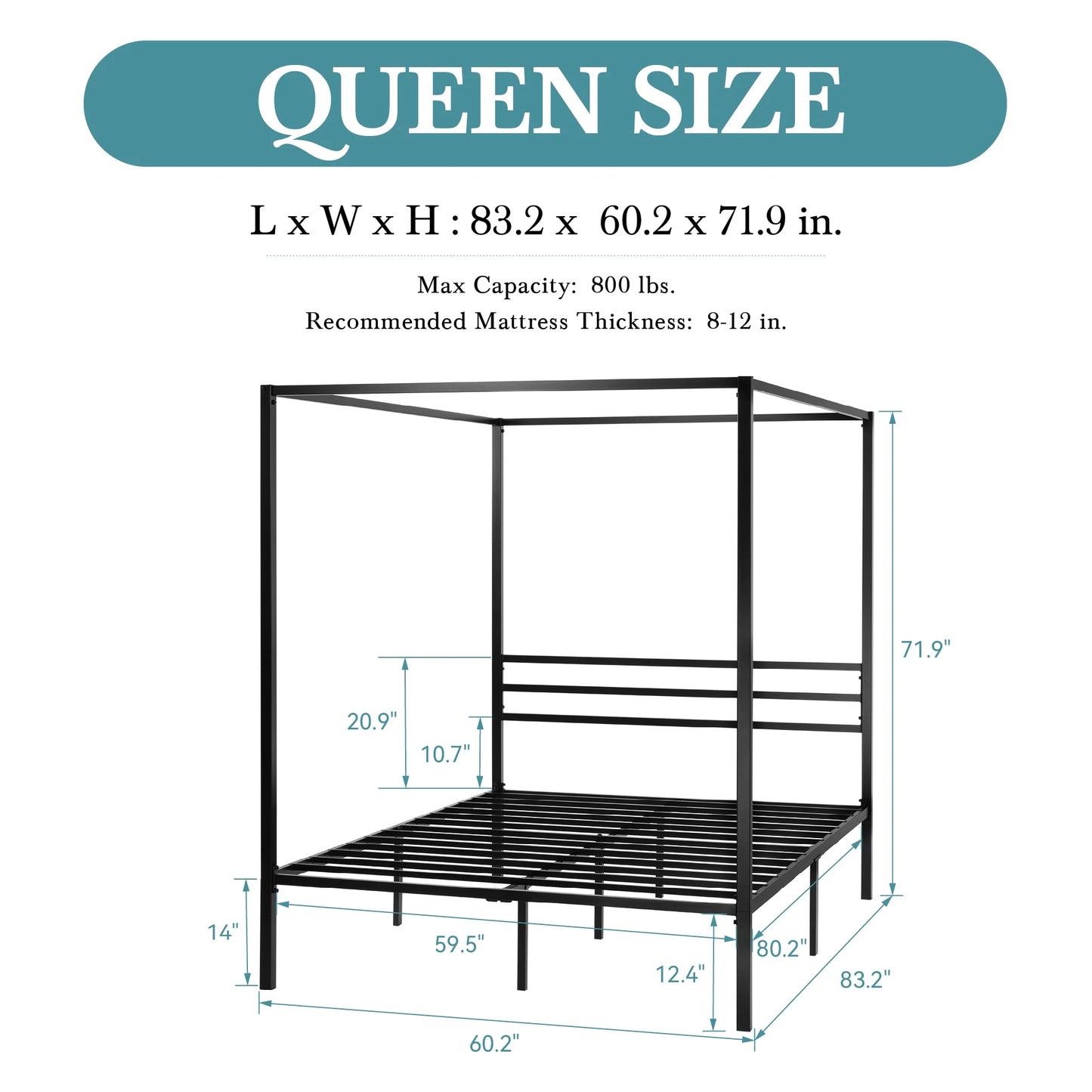 Ljustra Canopy Bed Frame Minimalist Sturdy Easy Assembly No Box Spring