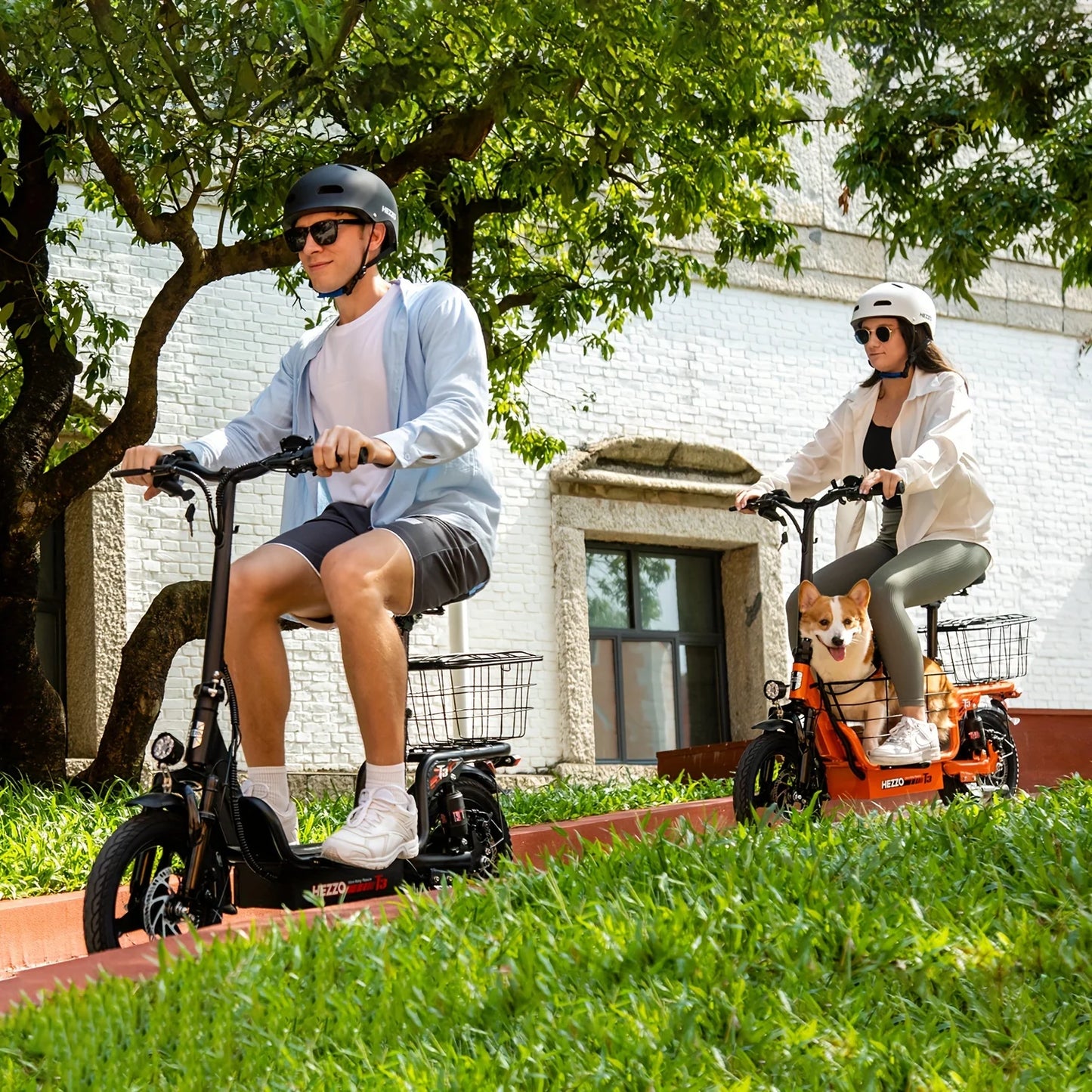 Ljustra 500W Electric Bicycle Dual Disc Brake Urban Commuter 60km Range