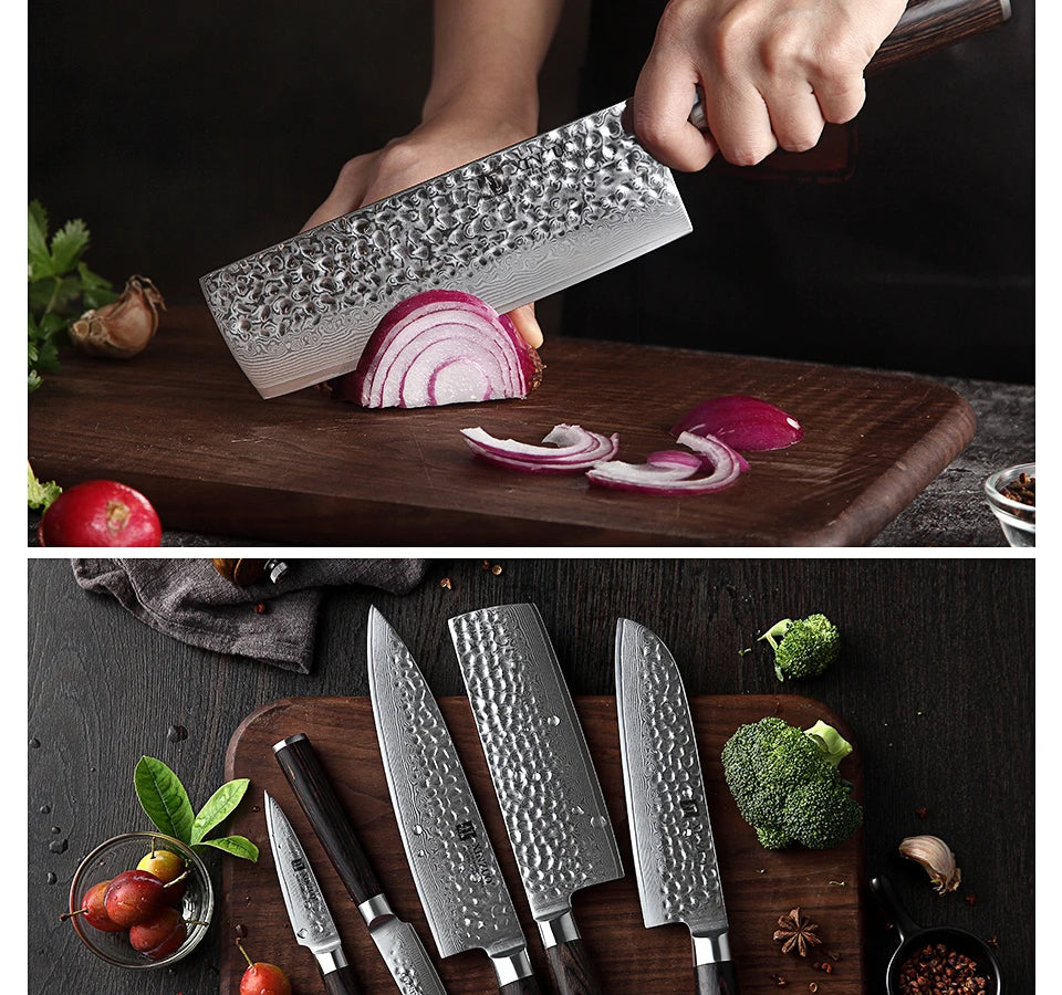 Ljustra 5PC Kitchen Knives Set VG10 Damascus Steel Pakkawood Handle
