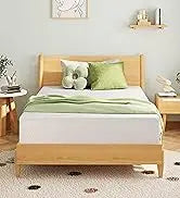 Ljustra Full Size 8 Inch Memory Foam Mattress in a Box Cooling Gel