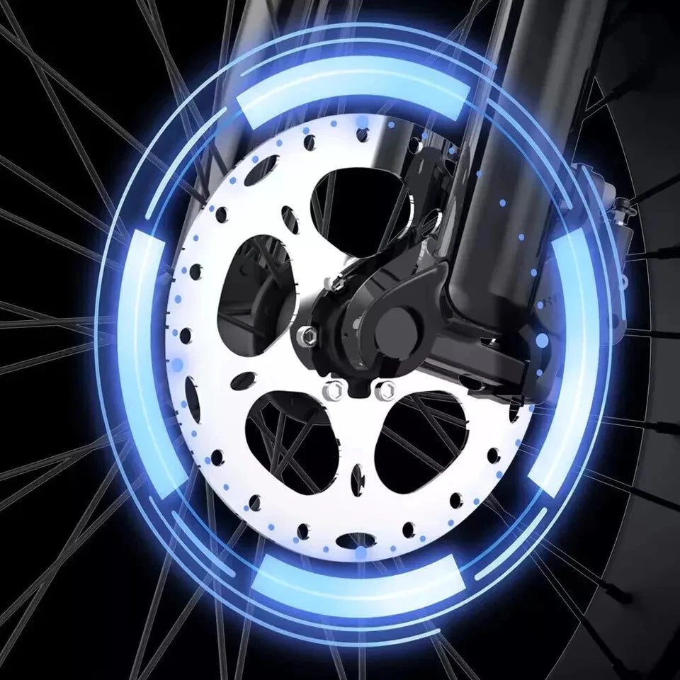 Ridstar 3000W Electric Bike 52V Dual Motor Fat Tire Mountain Bicycle