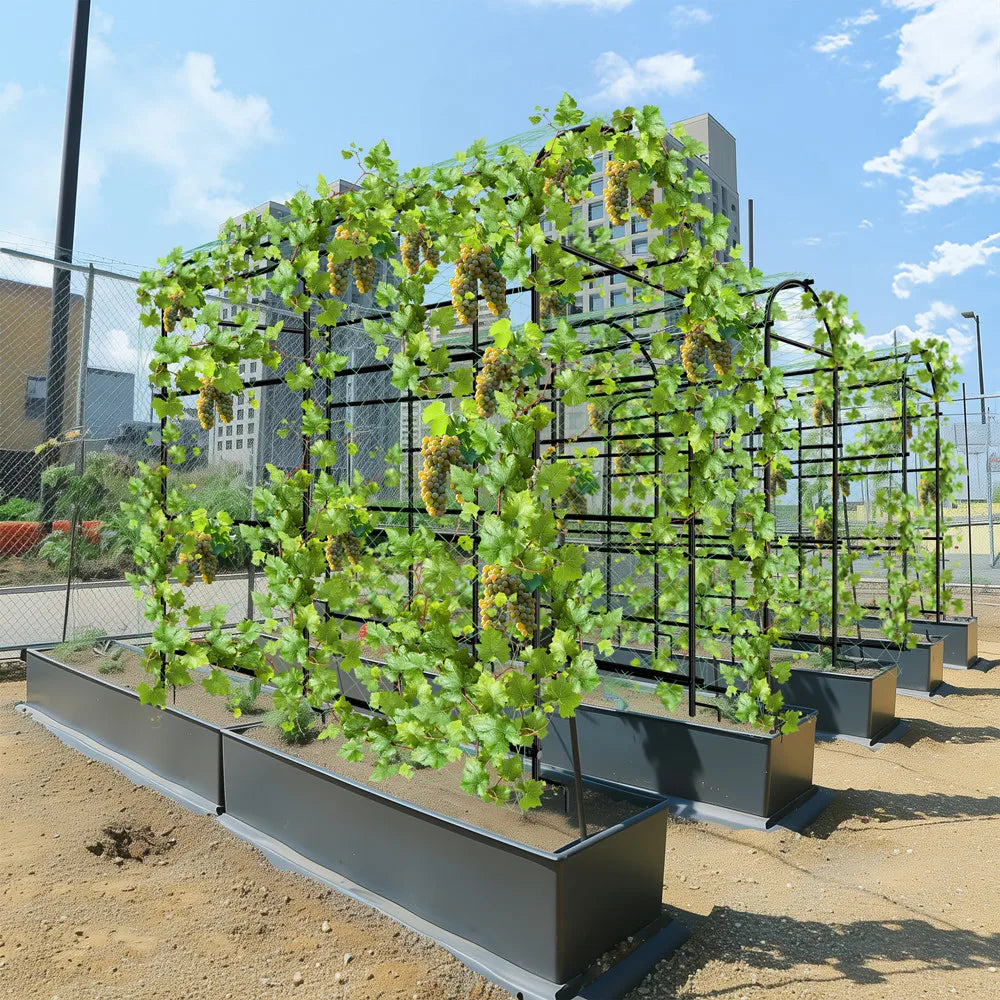 U-Shaped Metal Garden Trellis Support Frame for Climbing Plants