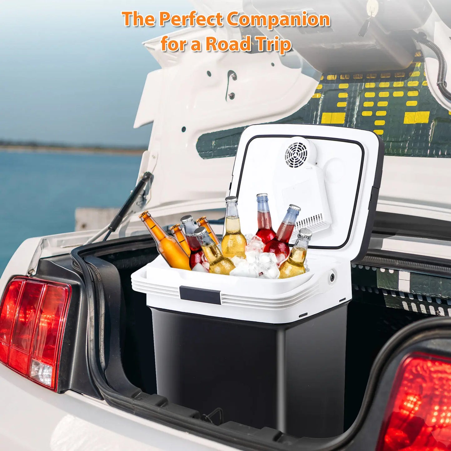 Car Fridge Electric Cooler Warmer 12V AC DC Portable 29L for Travel